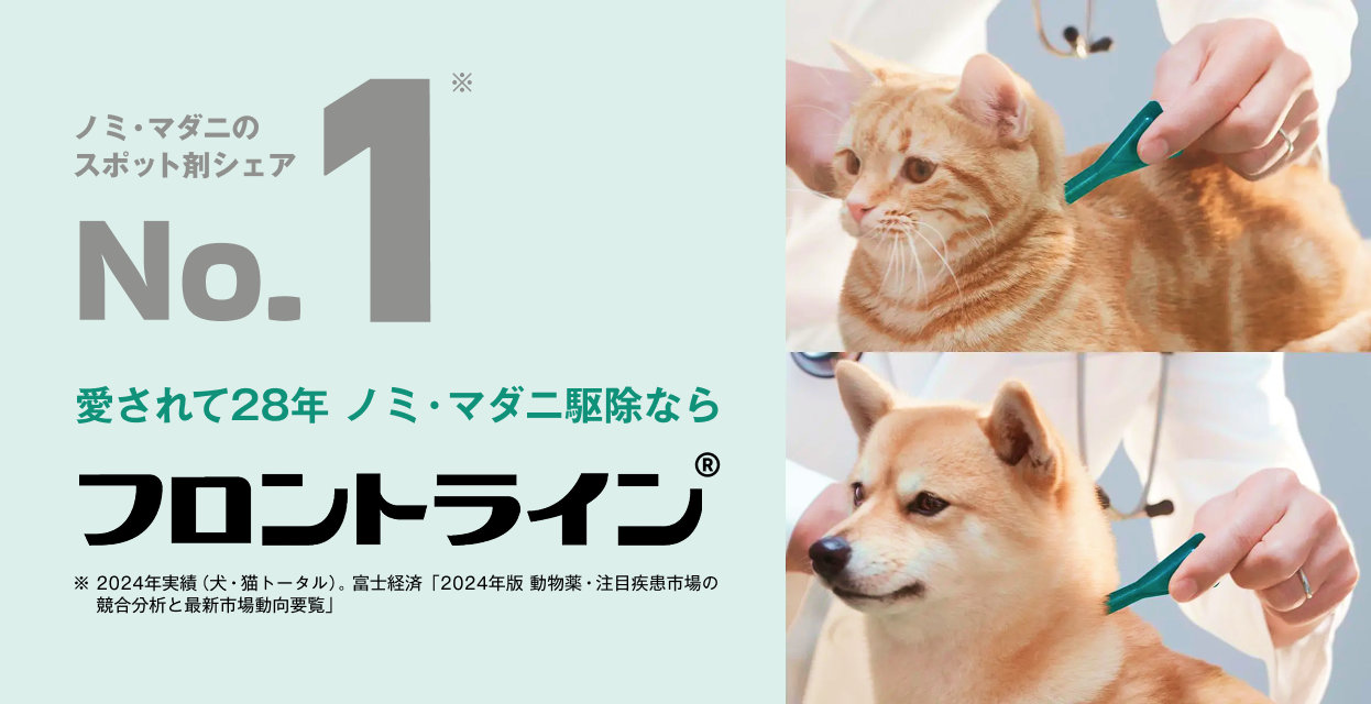 動物医療・ペット健康情報｜ベーリンガーインゲルハイムアニマルヘルス