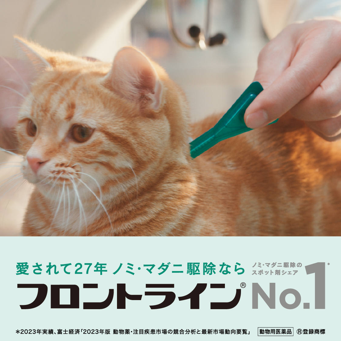 フロントライン プラス® キャット