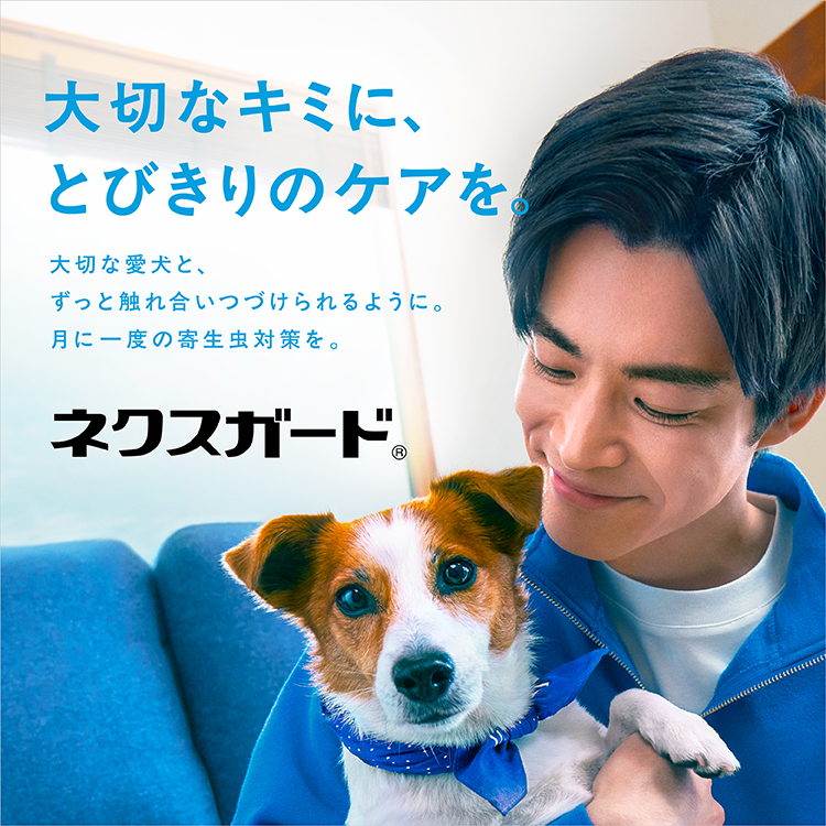 ベーリンガー | 獣医医療関係者向け製品情報サイト
