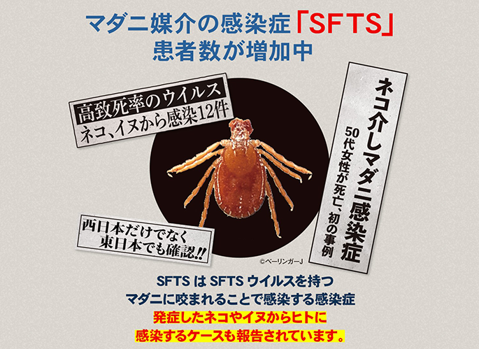 マダニが媒介する感染症「SFTS」知っていますか？ | ベーリンガーインゲルハイム アニマルヘルス ジャパン株式会社 製品情報サイト