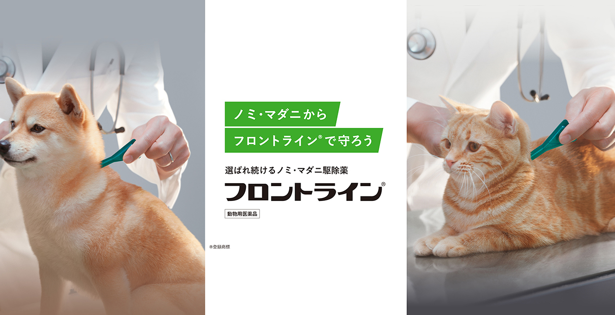 動物医療・ペット健康情報｜ベーリンガーインゲルハイムアニマルヘルス