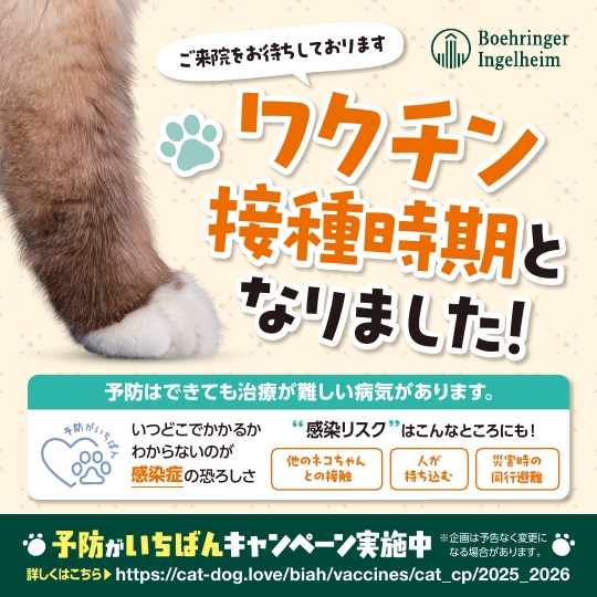 獣医療関係者向け犬・猫用製品情報｜犬・猫｜獣医療関係者様向け情報