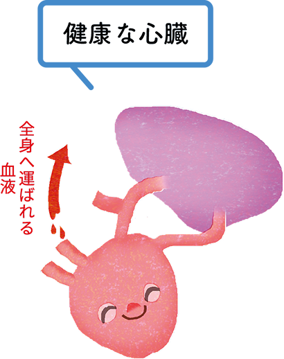 僧帽弁閉鎖不全症について｜心臓病｜ペットの病気予防・治療