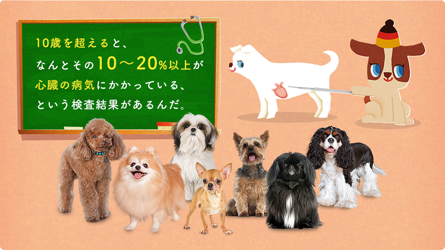 心臓病のサイン｜心臓病｜ペットの病気予防・治療について