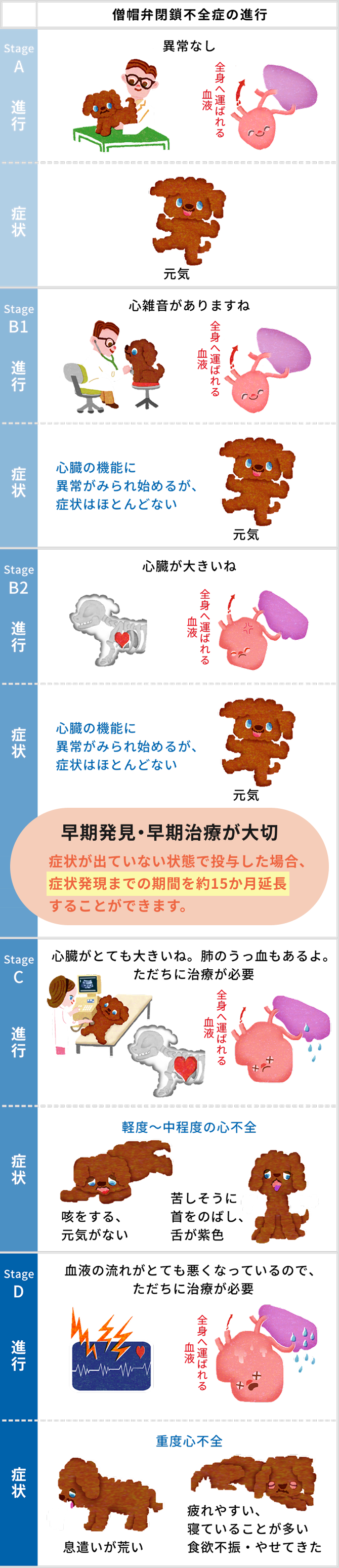 進行について｜心臓病｜ペットの病気予防・治療について｜飼い主