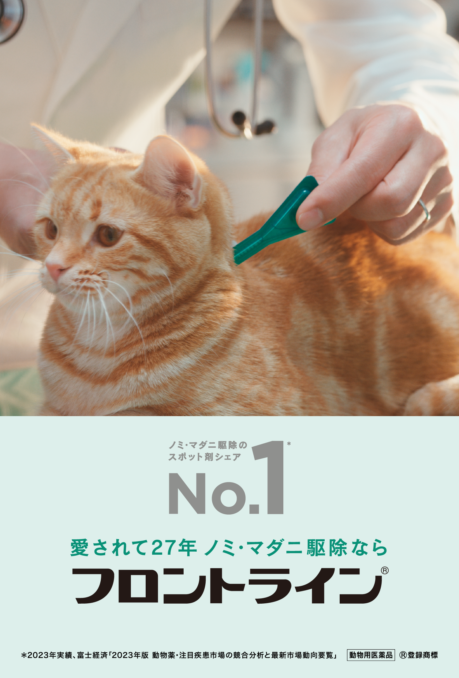 最新犬と猫の免疫学―疾患の予防・治療とそのメカニズム（傷みがあります） 最新犬と猫の免疫学―疾患の予防・治療とそのメカニズム（傷み