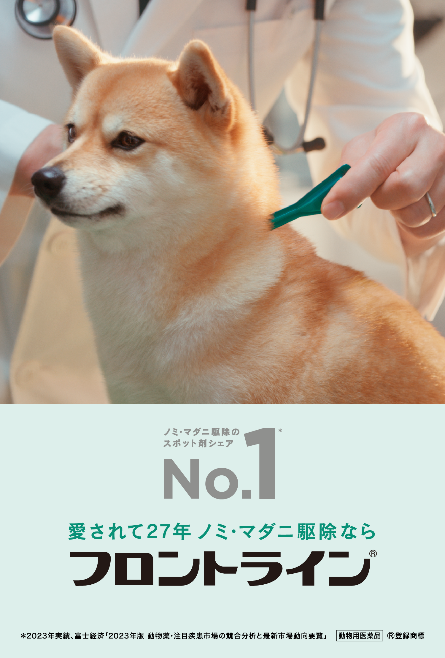 最新犬と猫の免疫学―疾患の予防・治療とそのメカニズム（傷みがあります） 最新犬と猫の免疫学―疾患の予防・治療とそのメカニズム（傷み