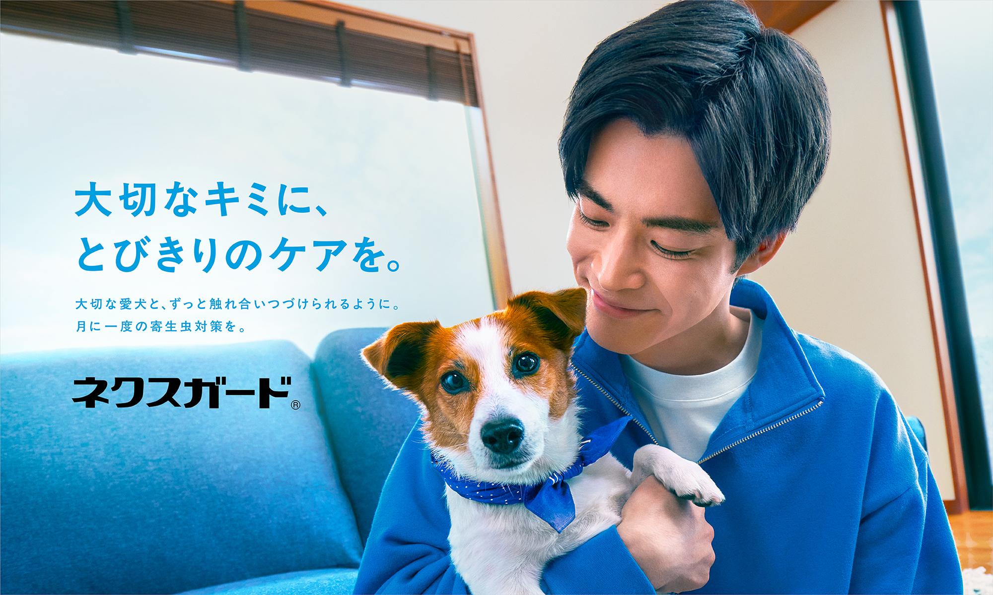 ベーリンガー | 獣医医療関係者向け製品情報サイト