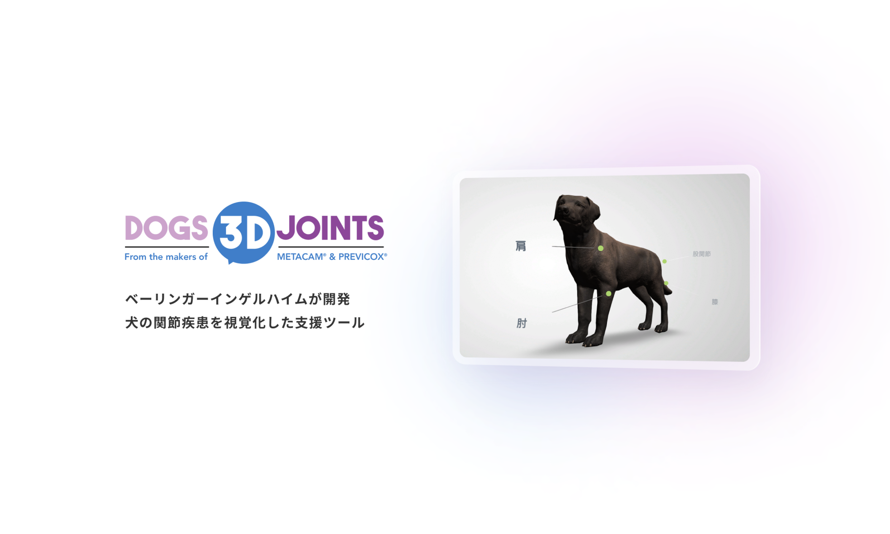ベーリンガー | 獣医医療関係者向け製品情報サイト