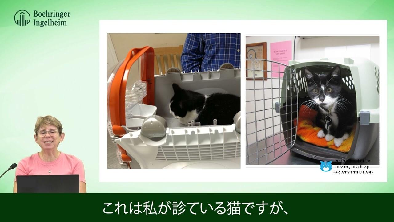 Cat'Xpert | ベーリンガーインゲルハイム アニマルヘルス ジャパン株式