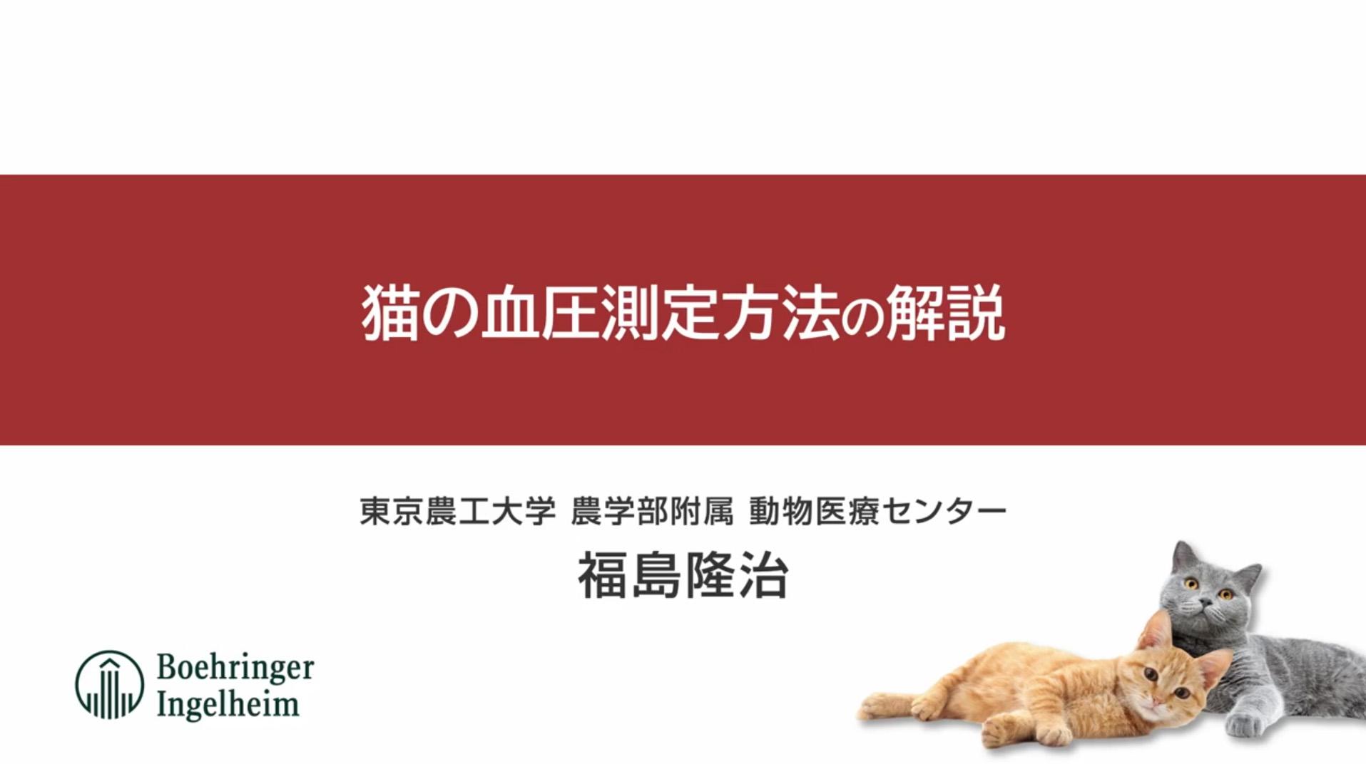 Cat'Xpert | ベーリンガーインゲルハイム アニマルヘルス ジャパン株式
