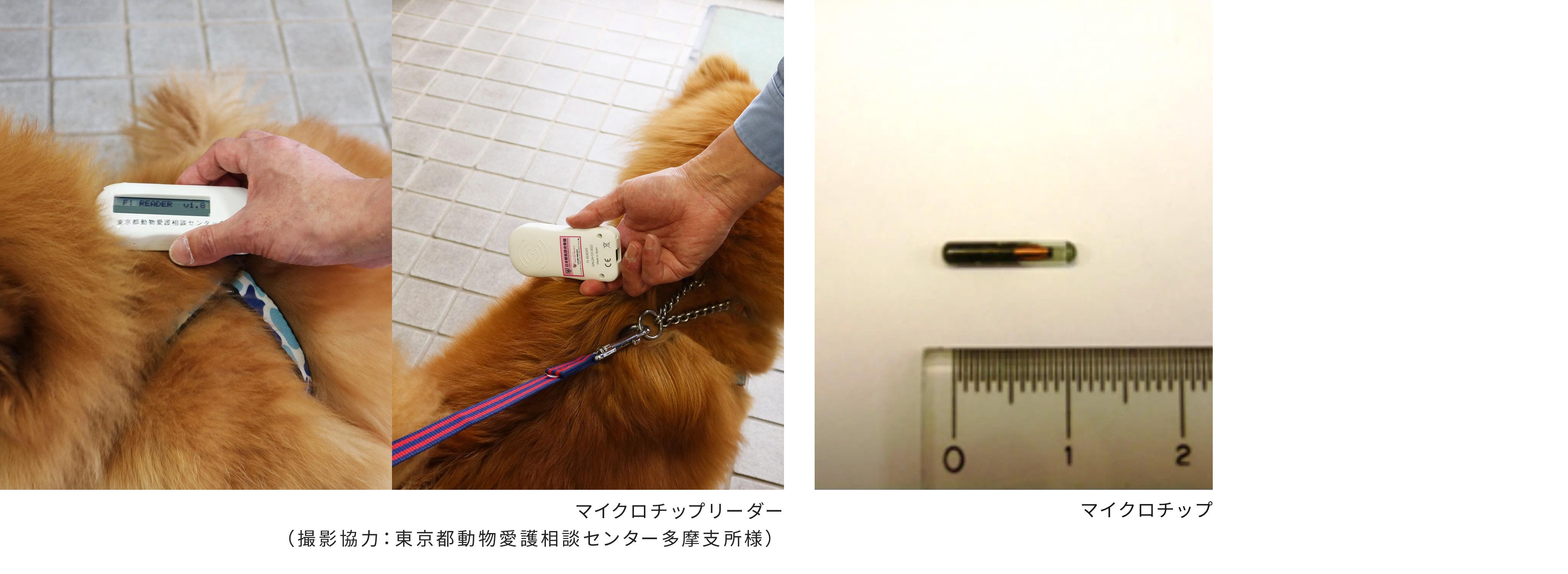日本獣医師会・マイクロチップ支援について | ベーリンガーインゲル