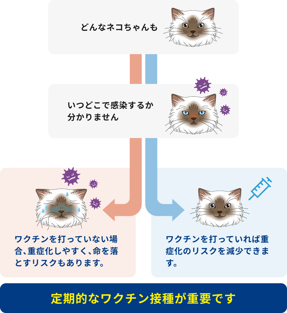 猫　使用期間１ヶ月 猫の日・さくらねこの日記念 1タップで愛をつなぐ モグリッチ寄付