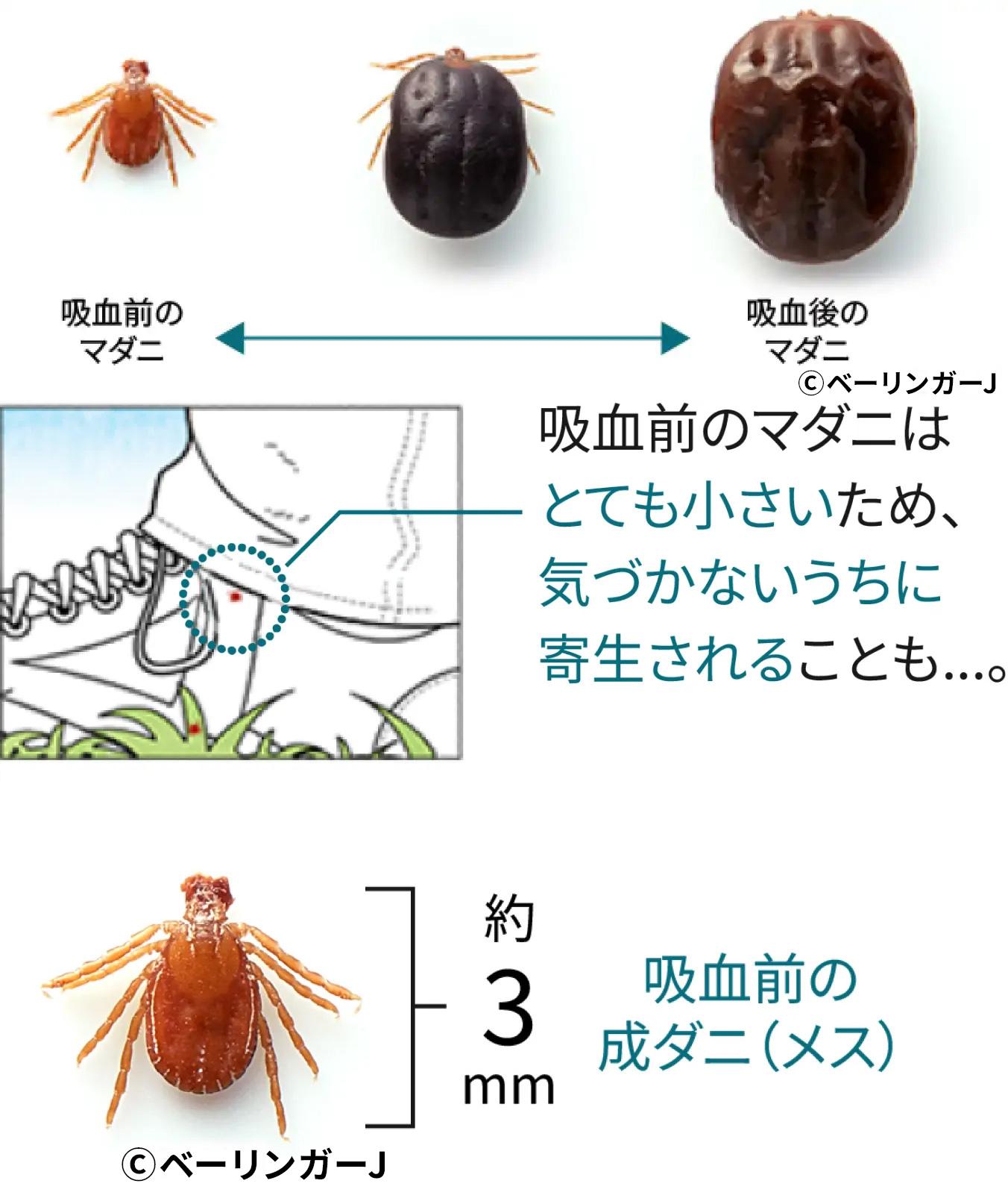 当時のメディア報道・掲載写真