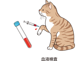 猫の慢性腎臓病 | ベーリンガーインゲルハイム アニマルヘルス
