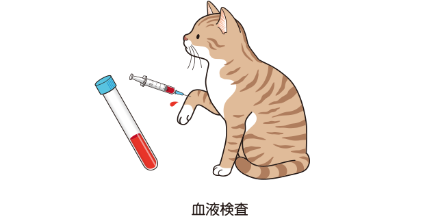 猫の慢性腎臓病 | ベーリンガーインゲルハイム アニマルヘルス