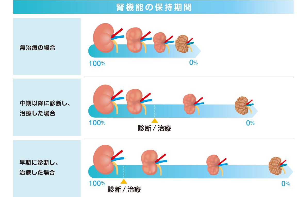 猫の慢性腎臓病 | ベーリンガーインゲルハイム アニマルヘルス