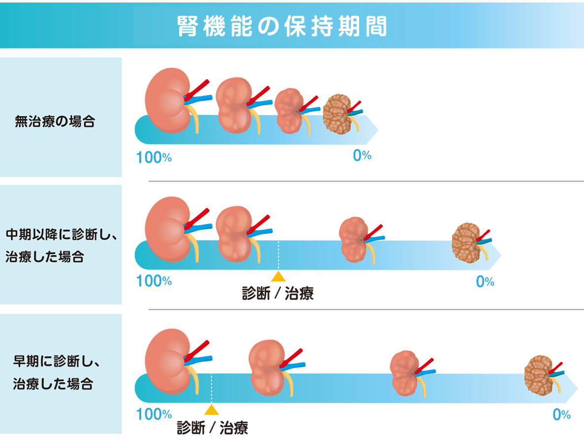 猫の慢性腎臓病 | ベーリンガーインゲルハイム アニマルヘルス