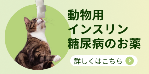 画像:日本国内唯一の動物用インスリン糖尿病のお薬