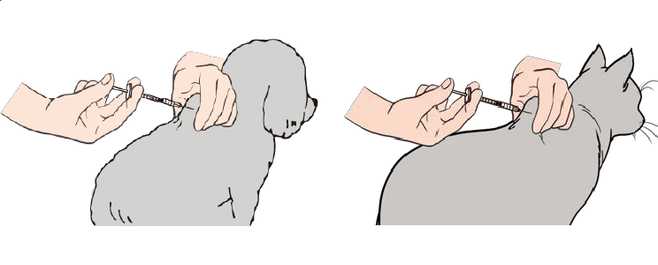 画像:STEP3 内筒を一度引いて、血液が入ってこないことを確認します。確認出来たら、内筒を最後まで押し込み、プロジンク®を皮下注射します。 注射器内のプロジンク®をすべて注射したら、皮膚から針を抜きます。使用済みの注射器は、かかりつけの動物病院で指示された方法で保管、廃棄してください。