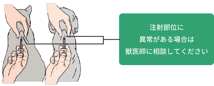 画像:注射部位に異常がある場合は獣医師に相談してください