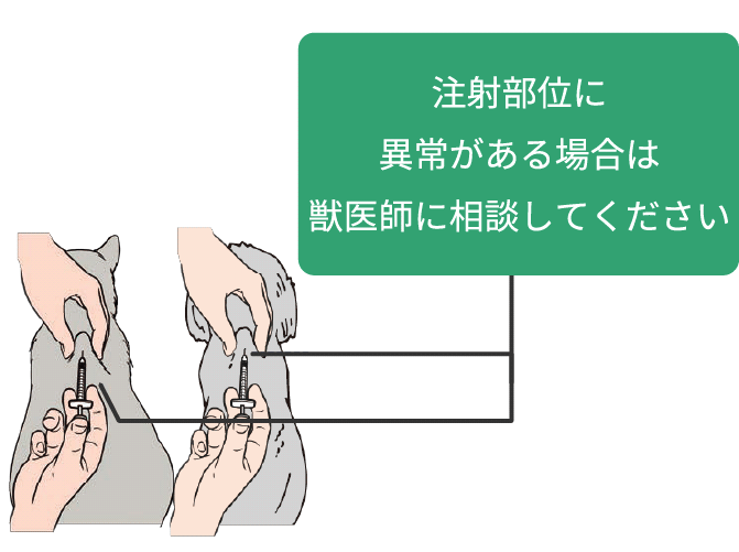 画像:注射部位に異常がある場合は獣医師に相談してください