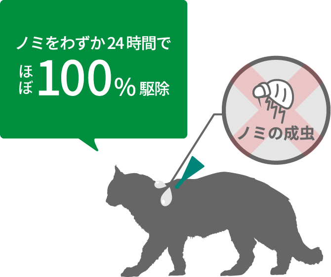 画像:わずか24時間でほぼ100%のノミの成虫を駆除