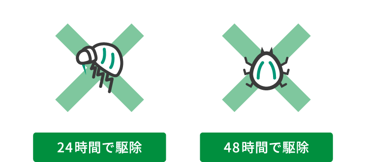 画像:ノミはわずか24時間以内、マダニは48時間以内で駆除