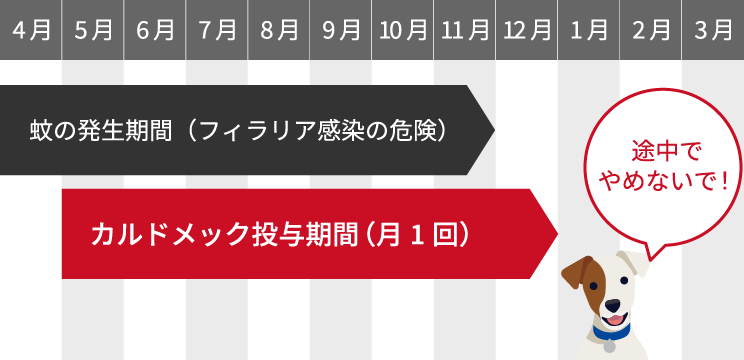 画像:蚊の発生期間と投薬期間