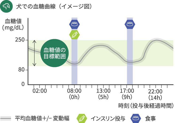 グラフ:犬に対するプロジンク®の作用時間