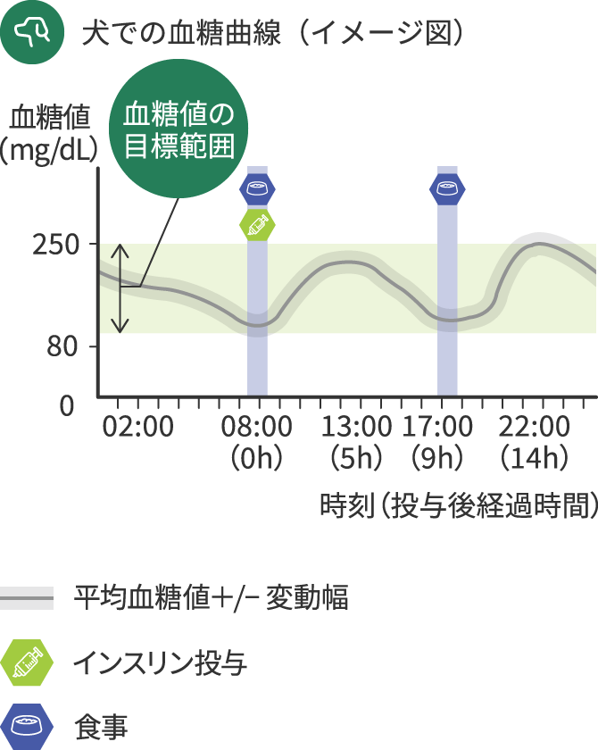 グラフ:犬に対するプロジンク®の作用時間