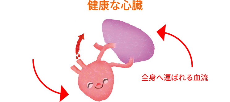 画像:健康な心臓