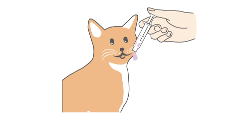 画像:STEP 4（シリンジで飲ませる場合） シリンジの先端をネコちゃんの口に入れ、ゆっくりピストンを押してお薬をすべて飲ませてください。​