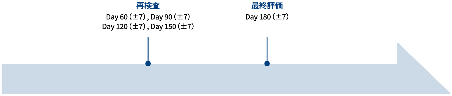 画像：長期使用試験