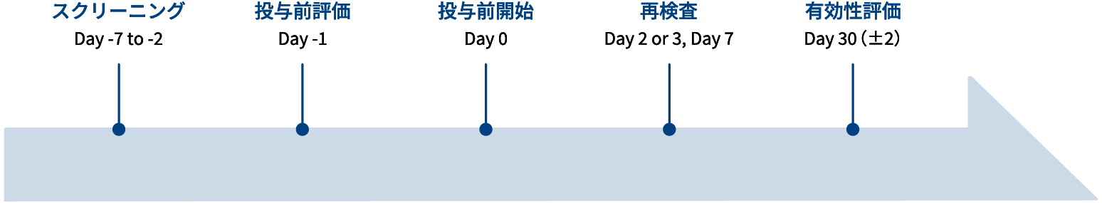 画像：有効性評価の試験デザイン