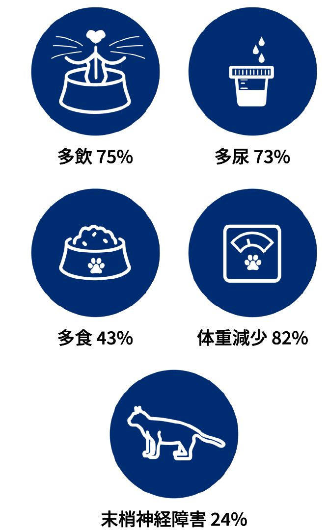 画像：各臨床症状の改善率