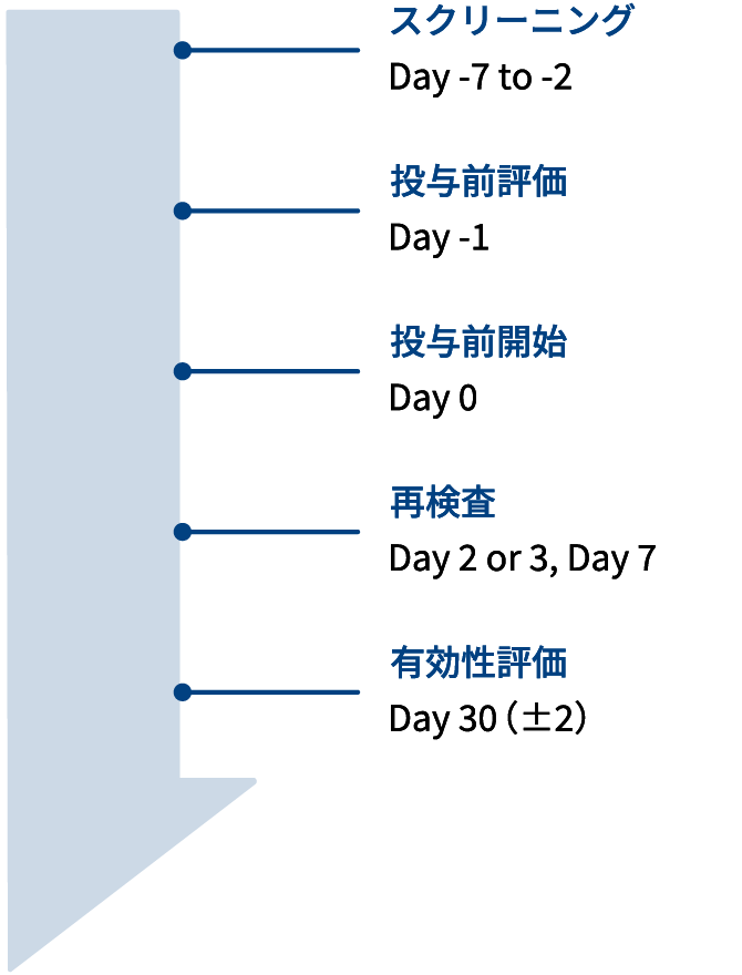 画像：有効性評価の試験デザイン