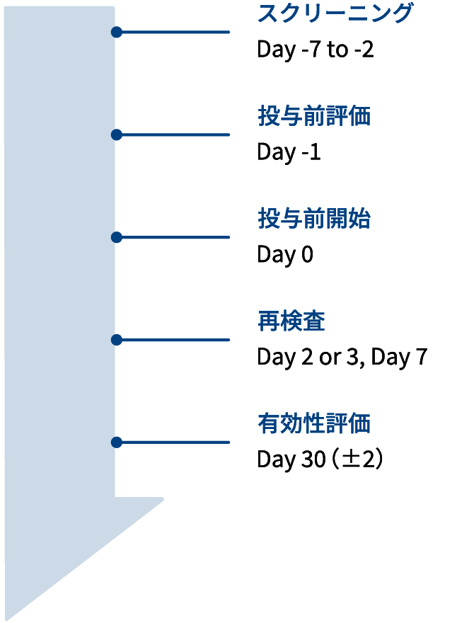 画像：有効性試験