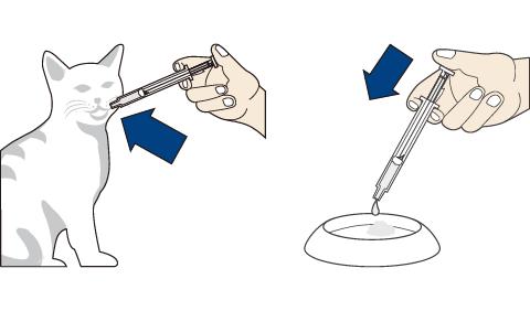 センベルゴ® 15mg/mL お薬の使い方 | ベーリンガー | 飼い主さま向け