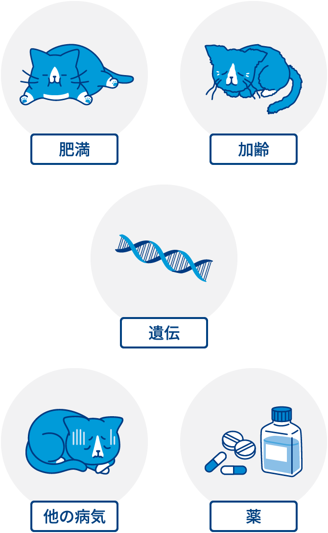 画像：糖尿病の原因