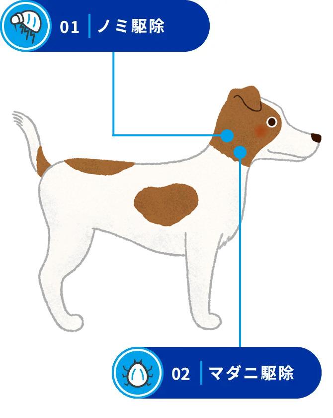 概要・特徴 ネクスガード® | 飼い主さま向け製品情報サイト | ベーリンガー