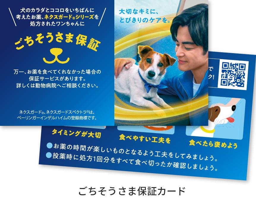 概要・特徴 ネクスガード® | 飼い主さま向け製品情報サイト | ベーリンガー