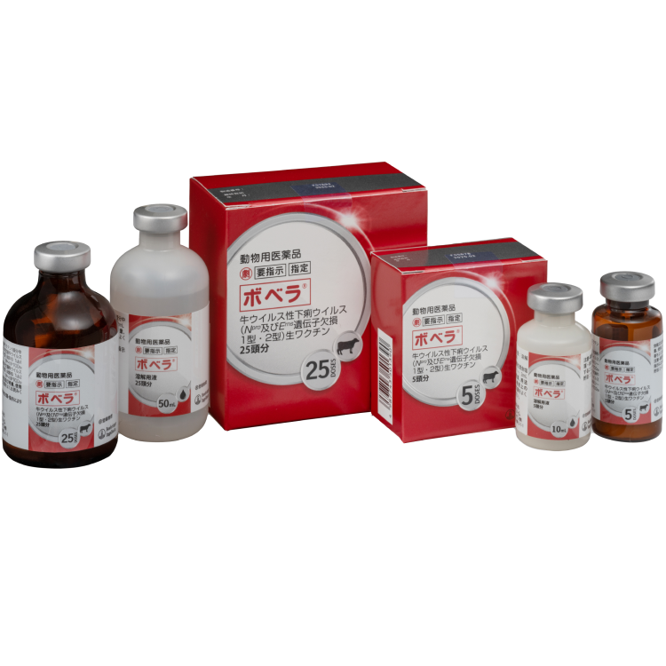 ボベラ® 概要・特徴 | ベーリンガー | 獣医医療関係者向け製品