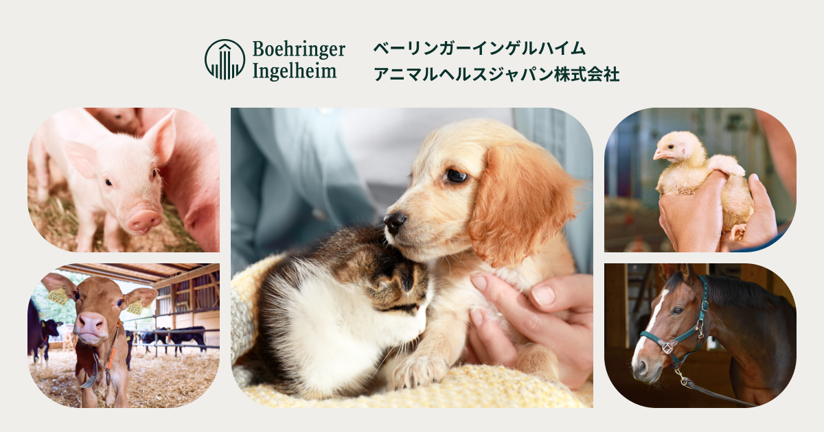 犬猫寄生虫体・虫卵 啓発用パネル 獣医療 概要・特徴 ネクスガード キャット コンボ® | 飼い主さま向け製品情報