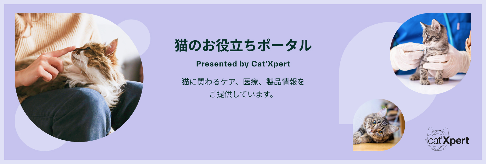 資材・ツール・動画｜犬・猫｜獣医療関係者様向け情報｜ベーリンガー